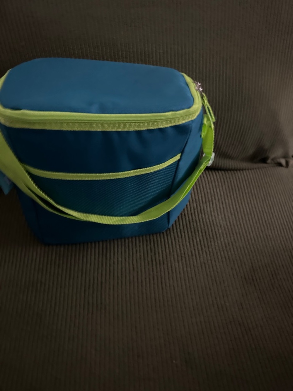 Blue & Lime Insulated Lunch Cooler Bag